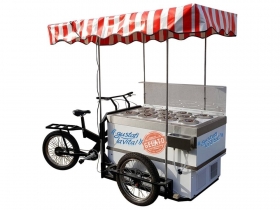 Ie Cream Cart on Tricycle - Cargo Bike System  Tricycles